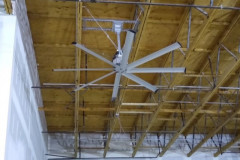 Large-Fan